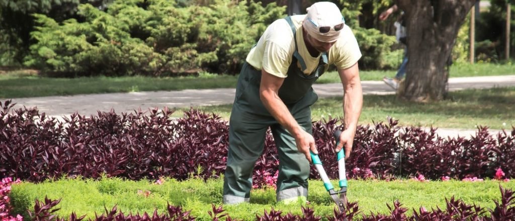 Was kostet ein Gartenhelfer?