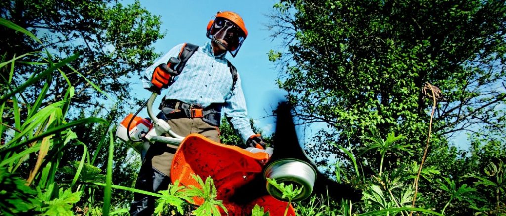 Wer übernimmt Gartenarbeiten?