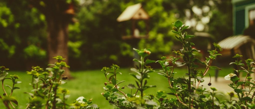 Gartenhilfe für Senioren