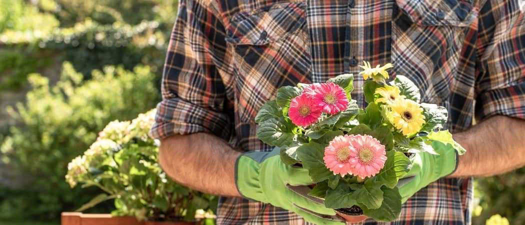 Hilfe bei der Gartenpflege