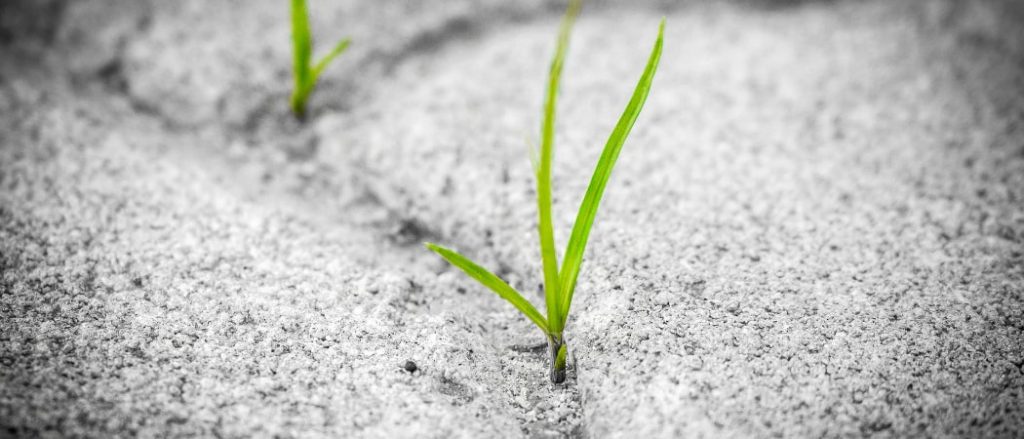 gartenhelfer zum unkraut beseitigen