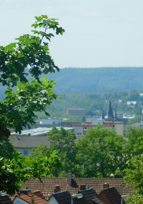 Studiwork in Kaiserslautern